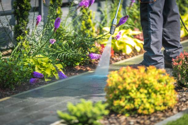 Best Gutter Cleaning  in Kingston, NJ