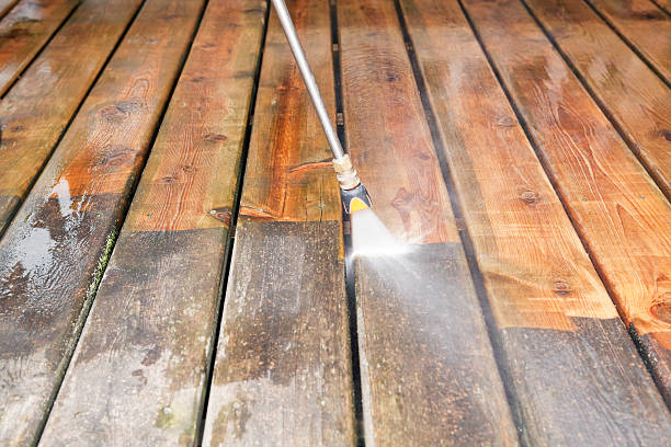 Best Roof Washing  in Kingston, NJ